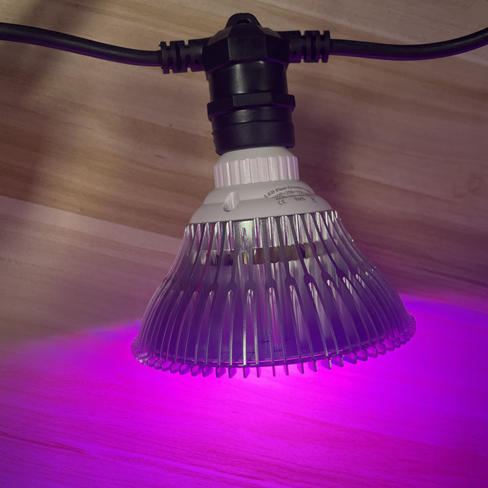 Cadena de luces LED de 10M, re - Outdoor Lighting Diy reseña y precio